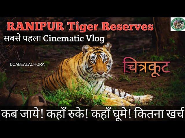 Ranipur Tiger reserve Chitrkoot near Prayagraj in cheapest price tiger sfari:information of जंगल