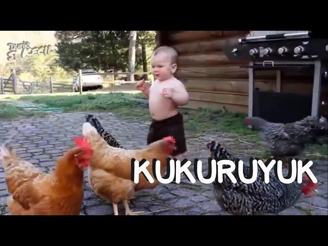 Kukuruyuk Ayam Jago - Lagu Populer - Lagu Anak Indonesia