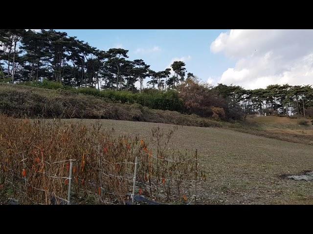 전원주택지 서산 팔봉면 금학리 500평.평20만.1억