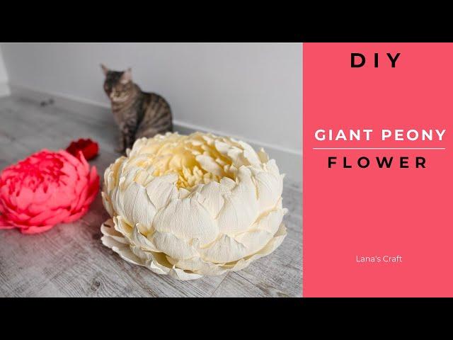 How to make a Giant Peony | Paper flowers | DIY