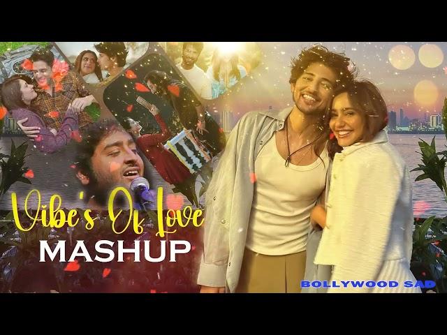 Vibes of Love Jukebox | New Trending Mashup Song 2024 | Bollywood Love Songs Mashup 2024