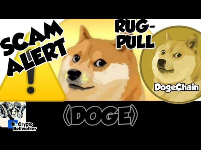 Dogecoin (DOGE) Crypto - DogeChain - SCAM, SCAM, SCAM - Do Not BUY! #dogecoin #doge #cryptoscam #ico