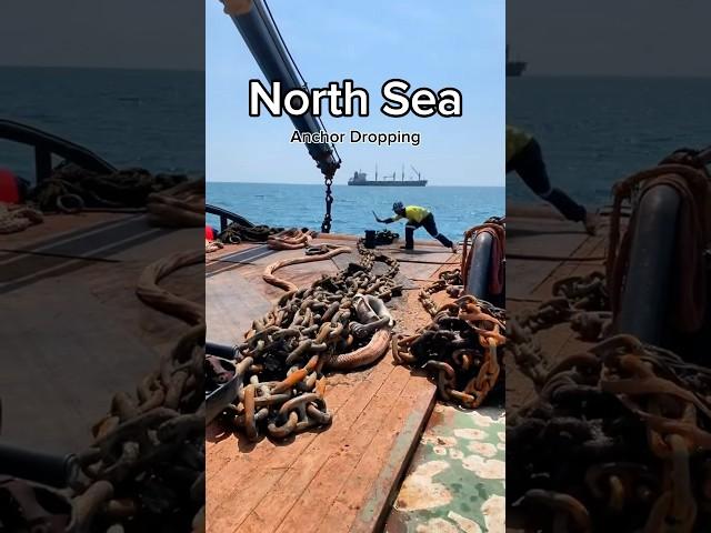 North Sea anchor dropping #northsea #anchor #ship