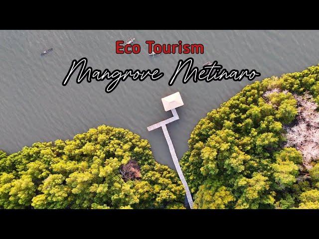 Drone Footage Eco Turismo Mangrove Metinaro || Timor-Leste
