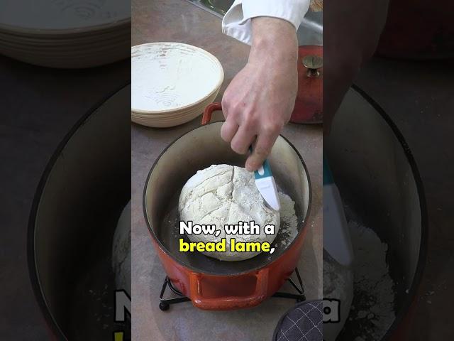 Bread! Gluten-Free, Wheat Free, & Dairy Free  #glutenfree #homemade #bread