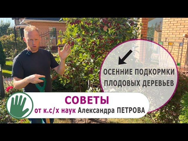 Видео журнал "СОФ №133" ОСЕННИЕ подкормки плодовых деревьев. СОВЕТЫ от Александра ПЕТРОВА