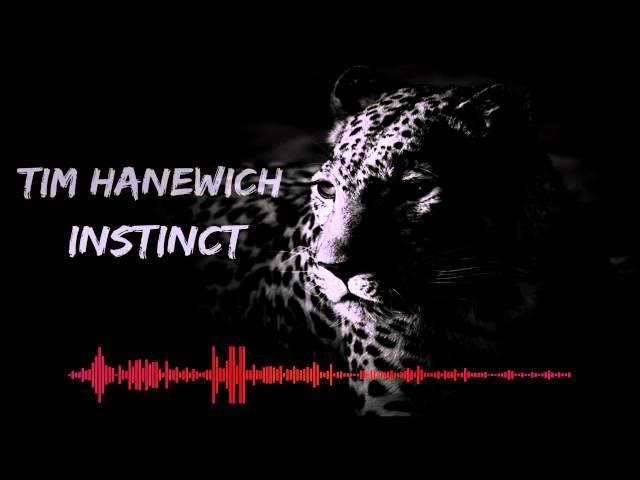 Tim Hanewich - Instinct