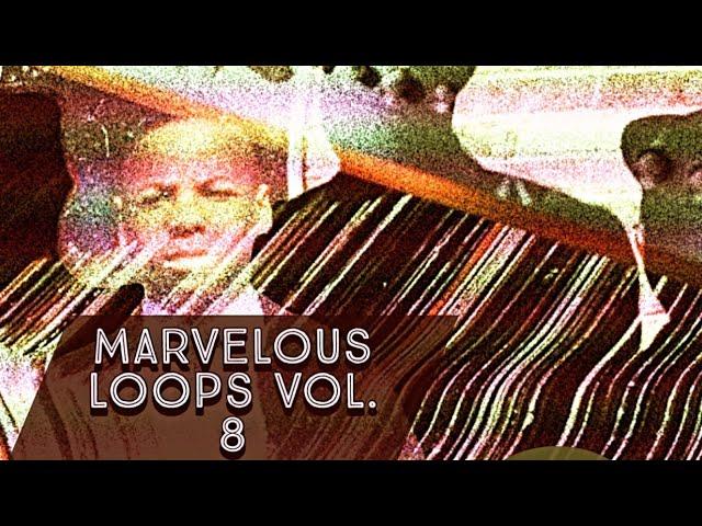 Marvelous Loops Vol. 8