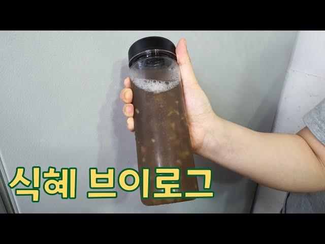 식혜 브이로그 #설날 #설준비 #식혜 #엿기름 #산골감나무집