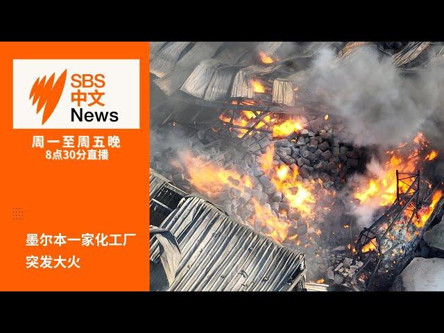 墨尔本一家化工厂突发大火 | 澳洲真实工资增长处于较低水平【SBS中文新闻直播】