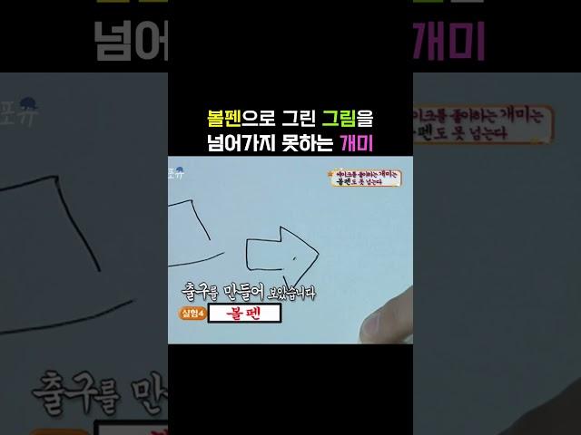 볼펜으로 개미 감옥을 만들 수 있다?! #shorts