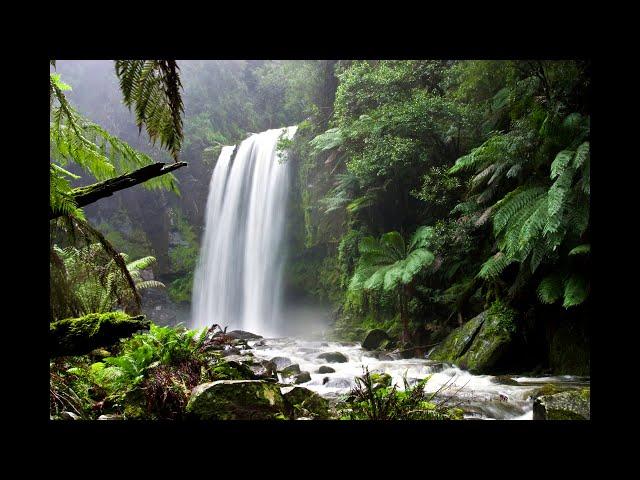 KECAPI SULING SUNDA DENGAN SUARA ALAM 1 JAM - ONE HOURS INDONESIAN  TRADITIONAL MUSIC