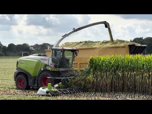 Van Bakel - Claas Jaguar 990 #claas #jaguar990 #harvest #mais #jaguar