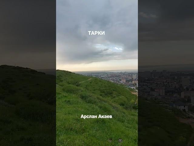 ТАРКИ. Махачкала . Арслан Акаев