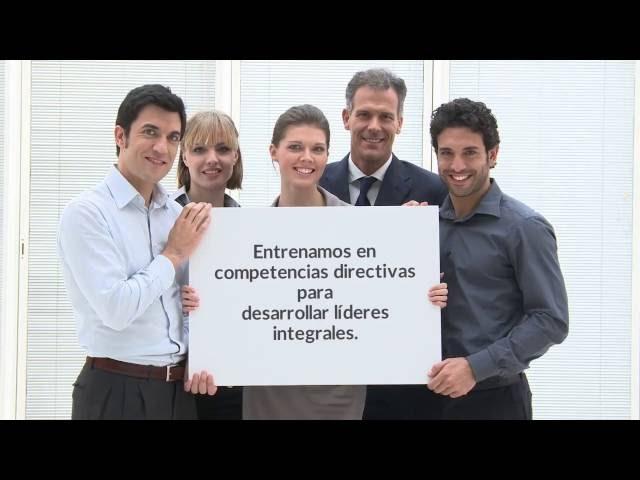 Coaching para empresas en Open Mind Advisor