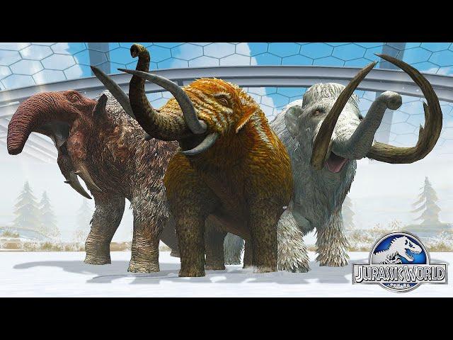 WOOLLY MAMMOTH VS MASTODON VS DEINOTHERIUM - Mammoth Fight | Jurassic World The Game