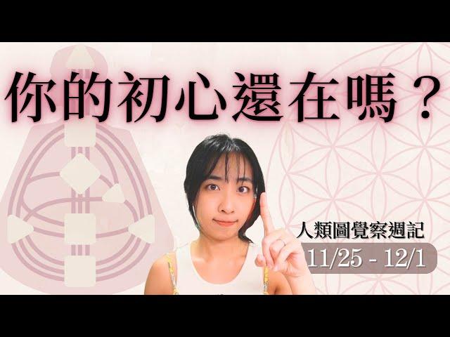 對焦目標的計劃才有意義｜11/25-12/01｜9 號閘門、16 號閘門｜人類圖覺察週記