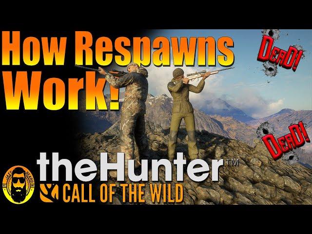 How Respawns Work in thehunter Call of the Wild!