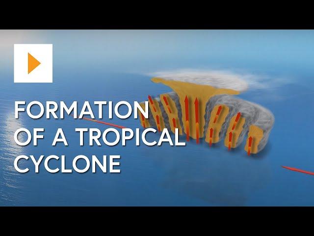 Formation Of A Tropical Cyclone