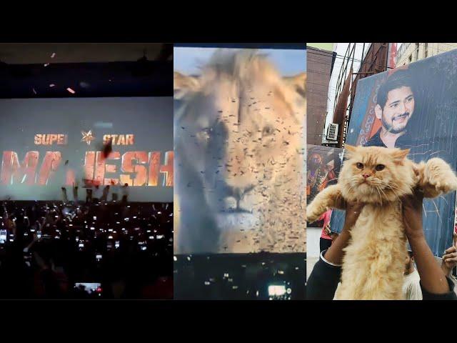 Mahesh Babu Fans Celebrates Mufasa The Lion King | MS Talkies