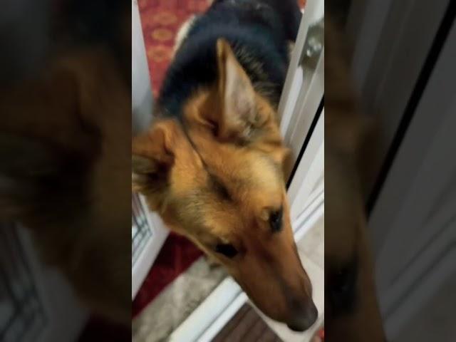 Пост сдал 🪖 Пост принял)