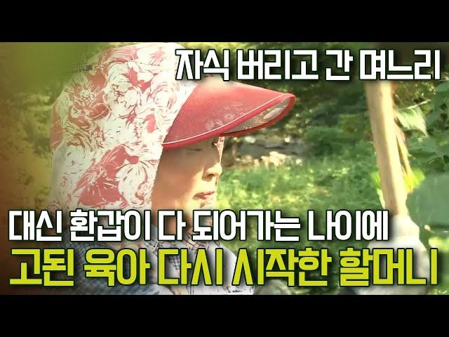 [멜로다큐 '가족' 241회 上] 자식 버리고 간 며느리 대신 환갑이 다 되어가는 나이에 고된 육아 다시 시작한 할머니