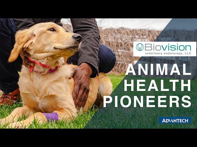 Beyond the Fur - Pioneering Veterinary Endoscopy for Happier, Healthier Animals