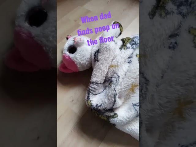 pov: when dad finds poop on the floor