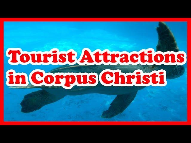 5 Top Tourist Attractions in Corpus Christi, Texas | US Travel Guide