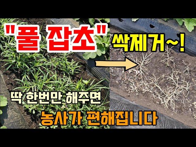 풀잡초 힘들게 뽑지 말고 이렇게하면 질긴풀도 잘 죽어요 #천연제초제 #풀제거방법