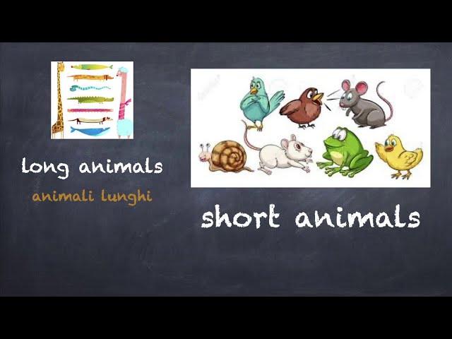 Lingua inglese per bambini: vocabolario (lungo/corto)