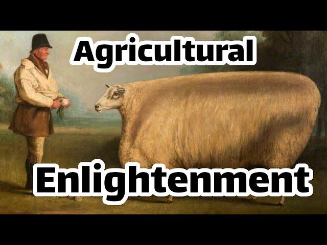 The Agricultural Revolution