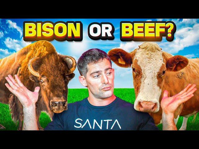 BISON or BEEF? Most Optimal For Gains... AMA Ep16