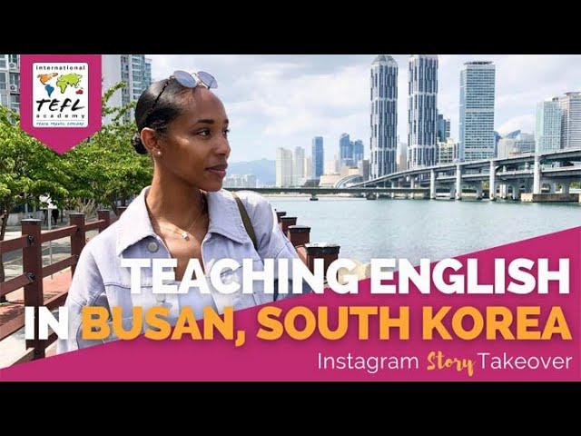 Day in the Life Teaching English in Busan, South Korea with Candace Green