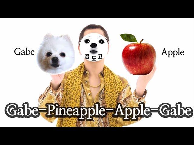 PPAP 강아지 리믹스 (Gabe the dog cover) 펜 파인애플 애플 펜 패러디