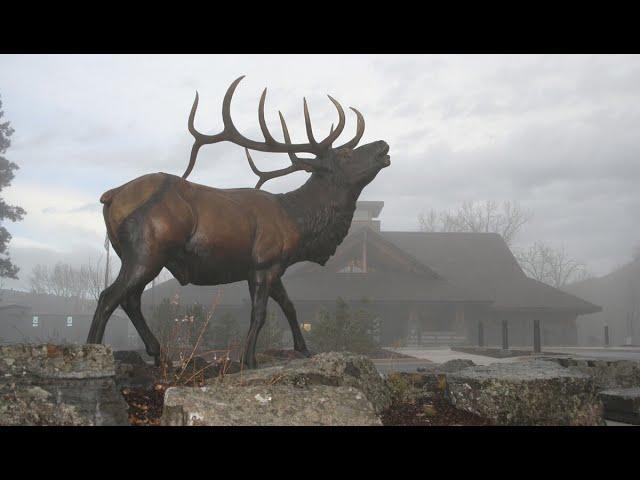 40th Anniversary - The Story of the Rocky Mountain Elk Foundation