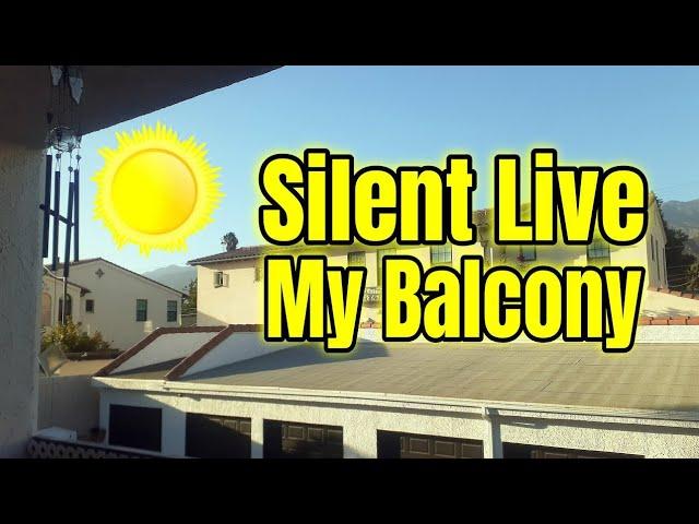 the crane man is silent live! welcome to my silent live afternoon on the balcony 