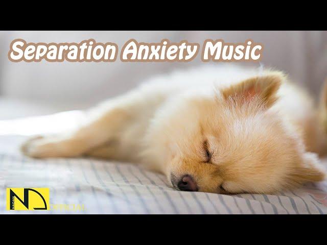 15 HOURS of Deep Separation Anxiety Music for Dog Relaxation! Help 4 Million Dogs Worldwide! NEW!