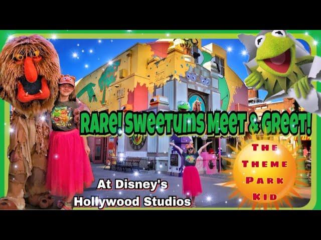 Muppet Vision 3D RARE! Sweetums character meet and greet! Disney World’s Hollywood Studios! NEW 2018