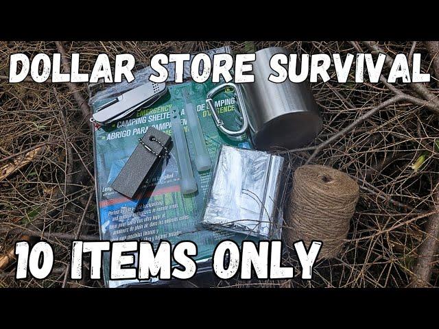 Dollar Store Survival Challenge - 10 Items Only