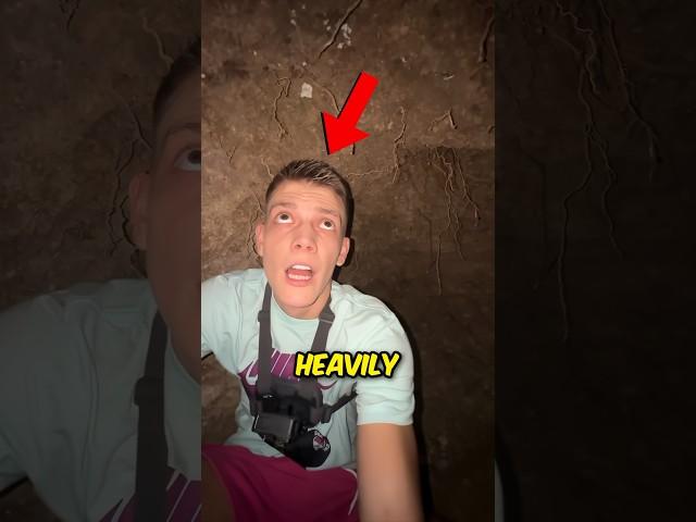 Guy Ends up in a Bear Cave 