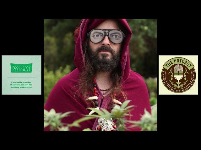 Episode 100.33 ft Bodhi of Bodhi Seeds / Yab-Yum / Supernatural Selections / Nierika - The Pot Cast