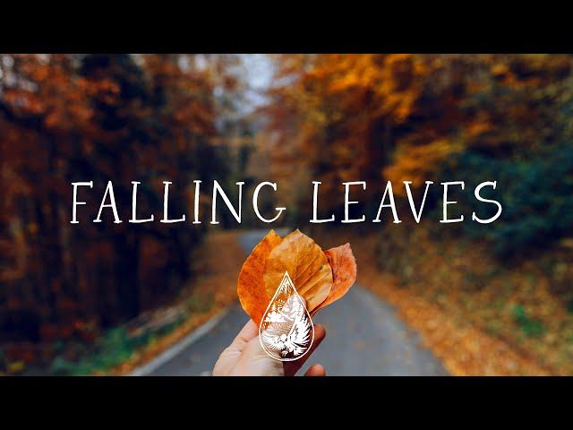 Falling Leaves  - An Autumn Aesthetic Indie/Folk/Acoustic Playlist