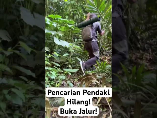 Pencarian Pendaki Hilang, Buka Jalur Baru! #shorts #short #shortvideo #sumaradiwijaya