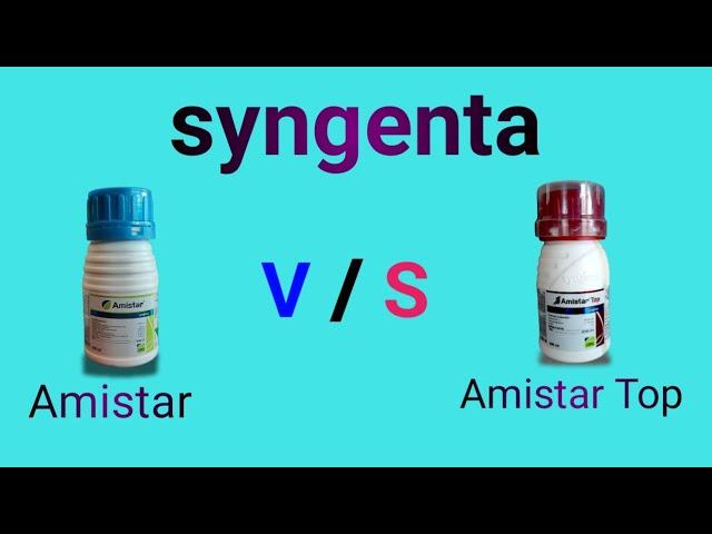 syngenta // Amistar Vs Amistar Top fungicide #syngenta