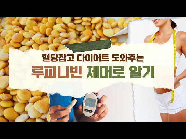 혈당 잡고 다이어트 도와주는 콩 루피니빈 제대로 알기