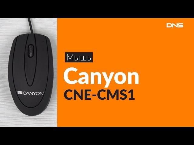 Распаковка мыши Canyon CNE-CMS1 / Unboxing Canyon CNE-CMS1