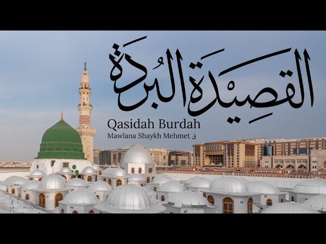 Qasidah Burdah in Egypt | Mawlana Shaykh Mehmet | قصيدة البردة | Imam al-Busirī (Mostly Translated)