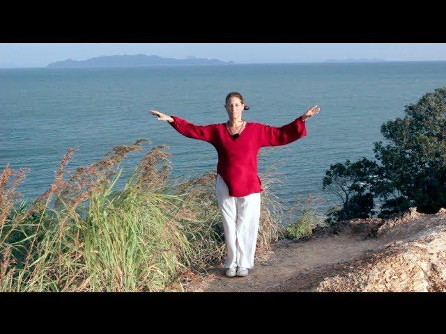 UPDATED : Module 01b - Simple Easy beginners Tai Chi.