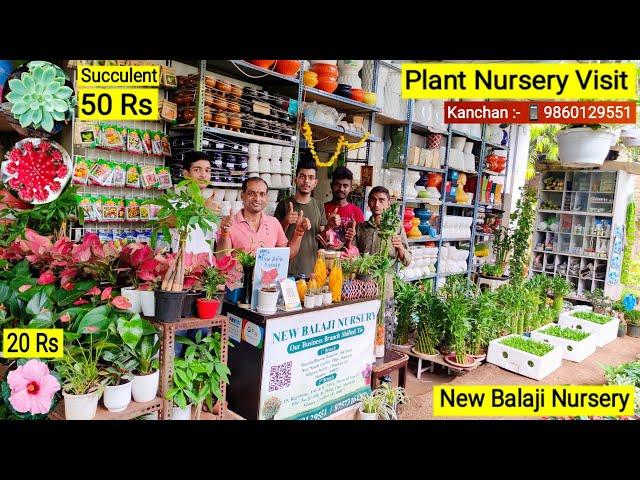 New Balaji Nursery || Cheapest Plant Nursery, Biggest plant nursery | Plant Price with Names 